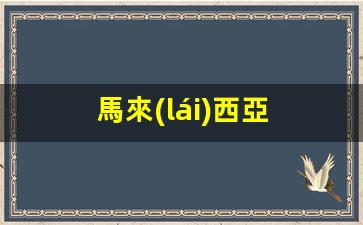 馬來(lái)西亞 簽證 北京(馬來(lái)西亞簽證多少錢(qián)一個(gè)人)